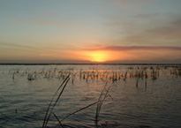 Okeechobee